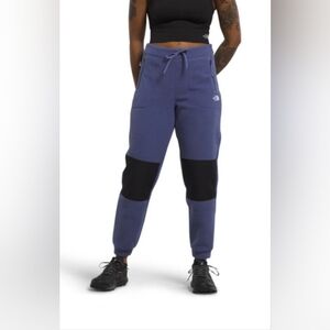 North Face Polar tech fleece pants - XXL